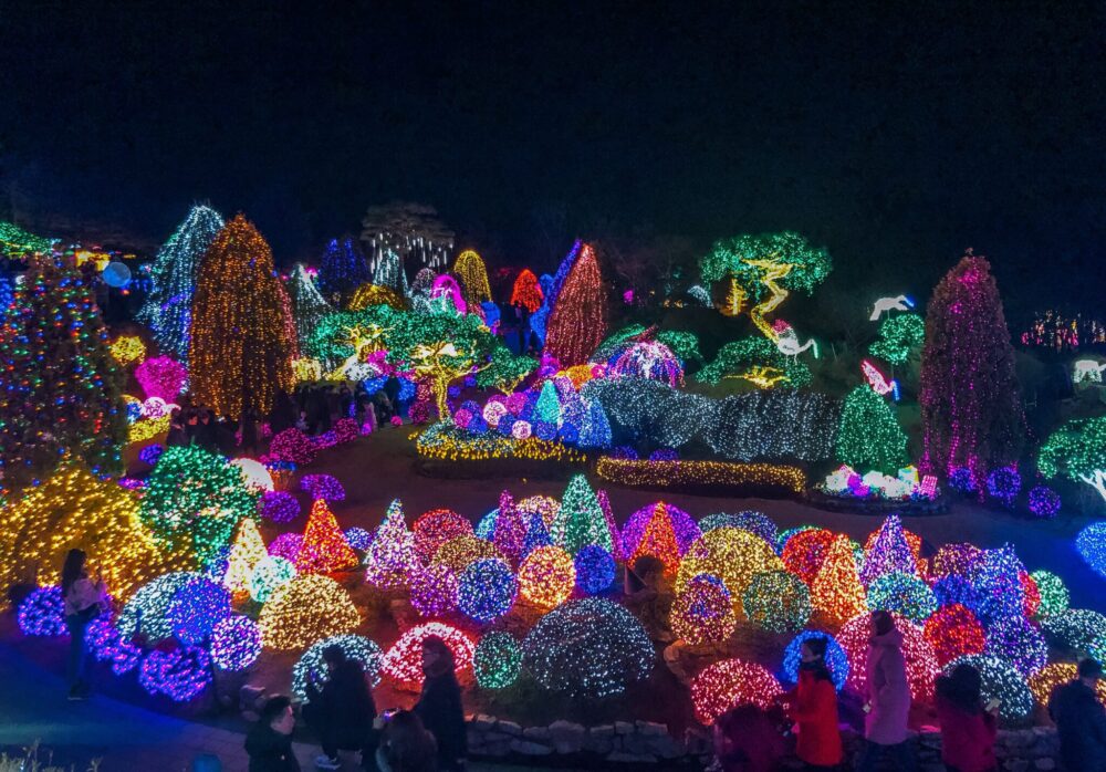 Garden landscape covered in vivid multicoloured lights at the Garden of Morning Calm