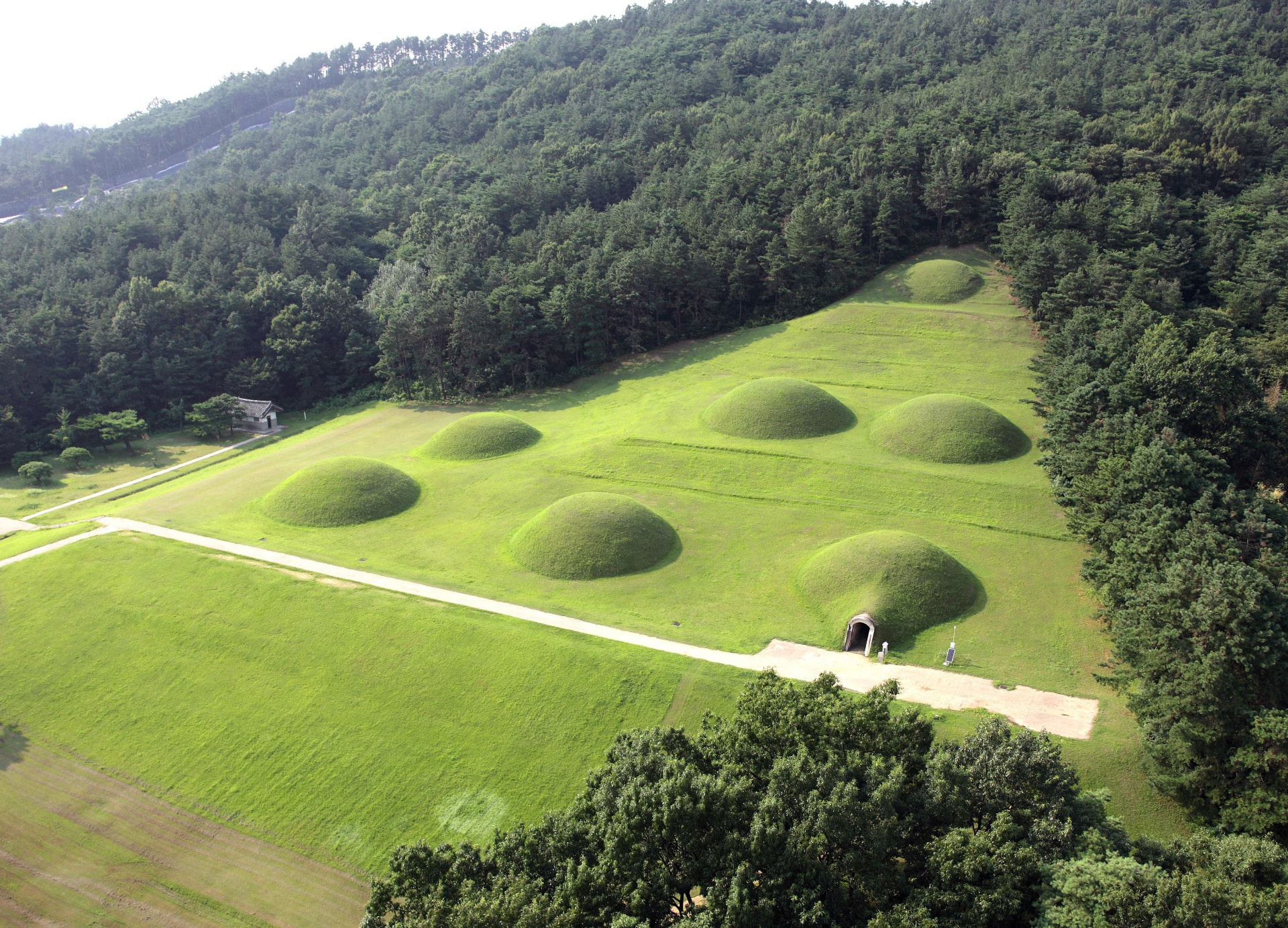 Grass-covered royal burial mounds of Buyeo seen from above, framed by pine forest
