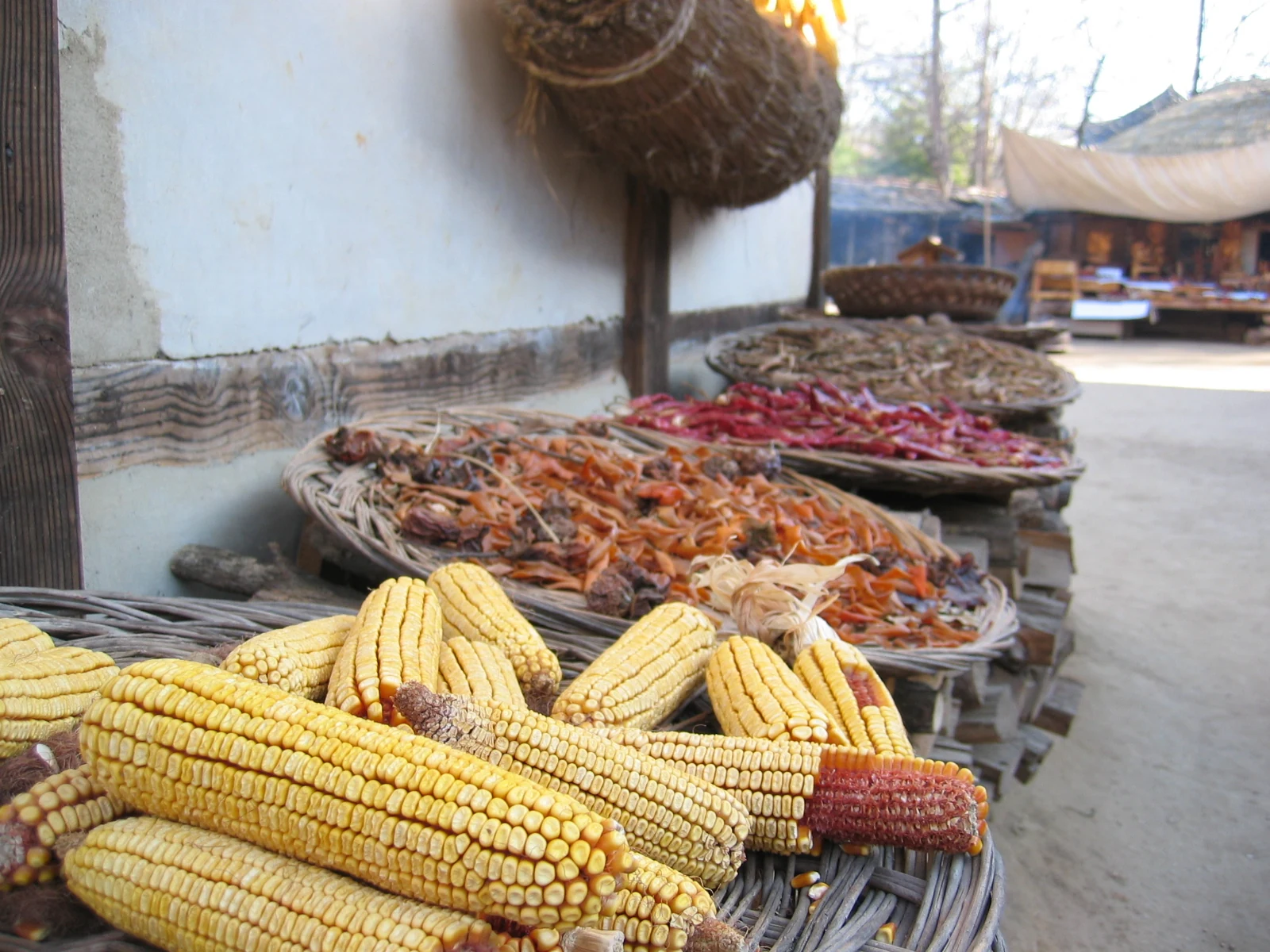 Corn and dried vegetables arranged in woven baskets beside a traditional house