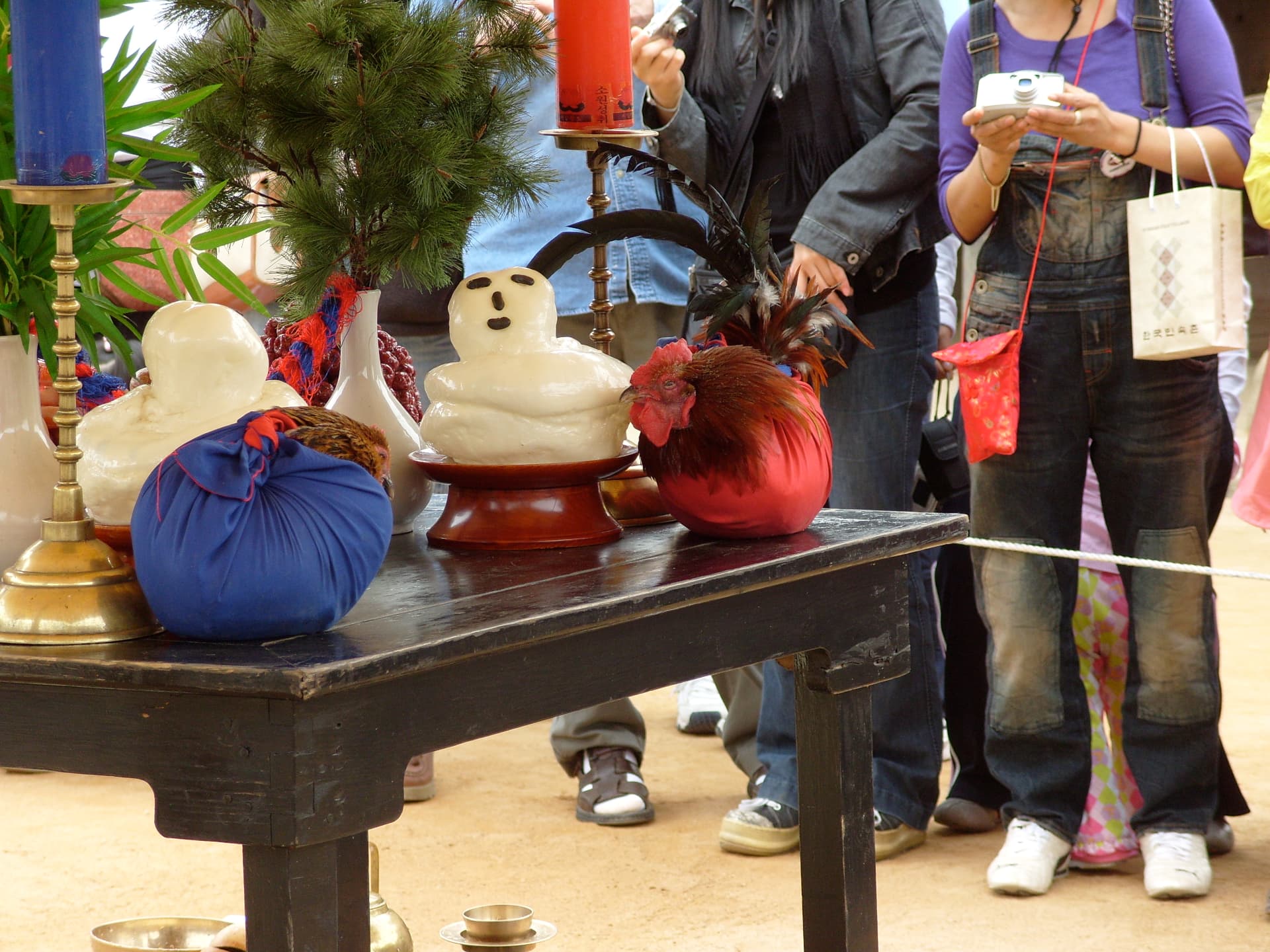 Traditional Korean wedding ritual table at Korean Folk Village with rice cakes, candles and a pine branch in a white vase