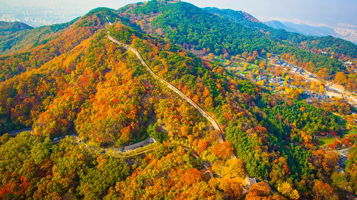 Aerial view of Seoul City Wall crossing a mountain ridge covered in vivid autumn foliage
