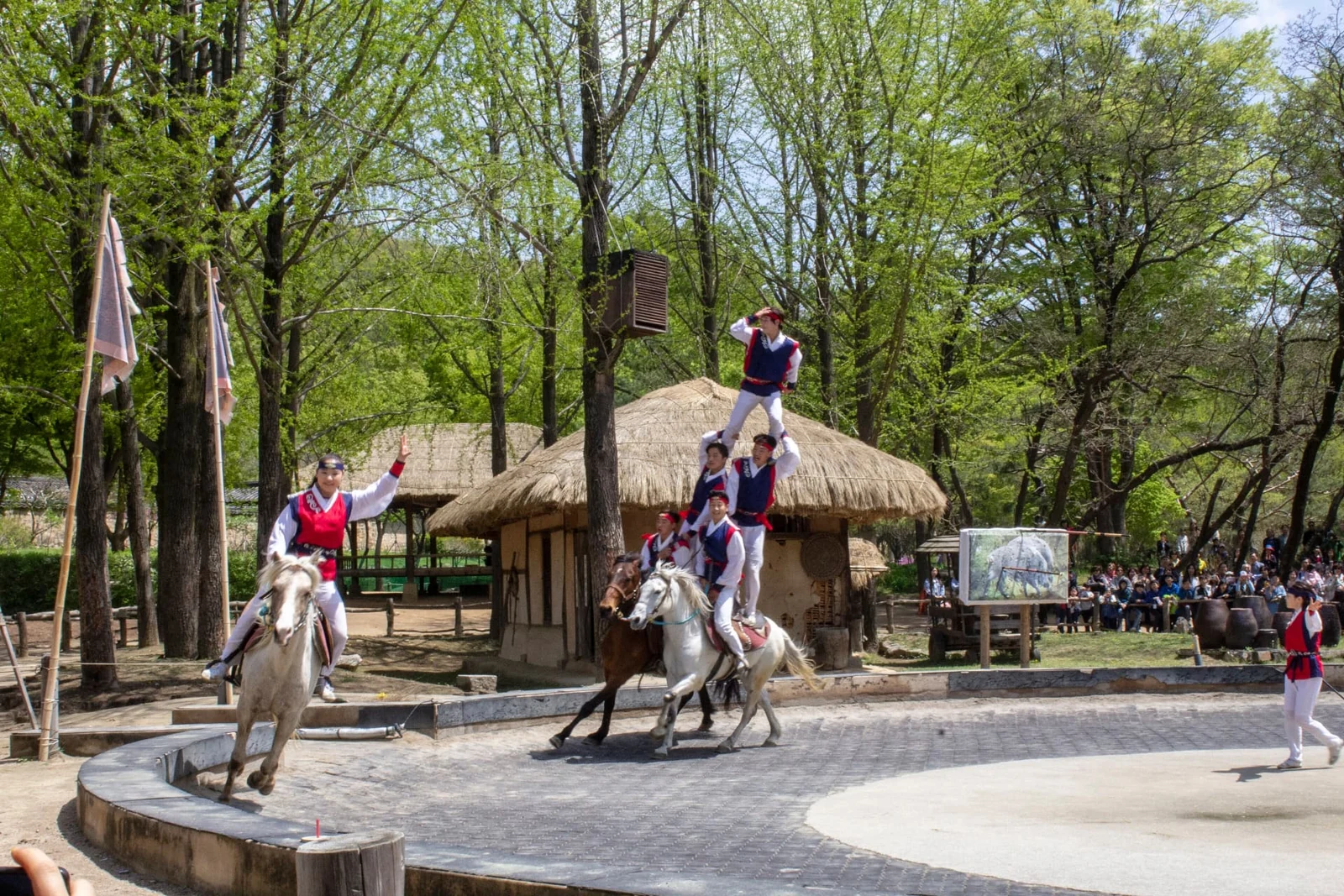 Costumed performers balancing on moving horses in an outdoor arena
