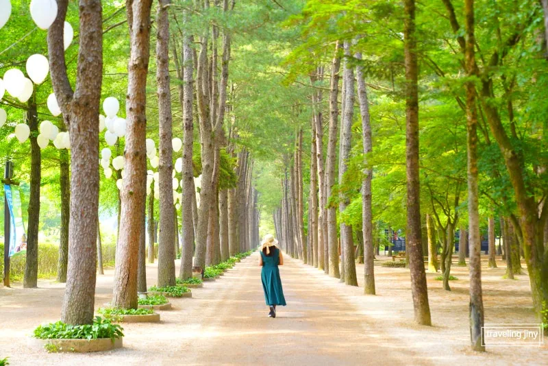 Woman walking along a sunlit tree-lined avenue on Nami Island in summer