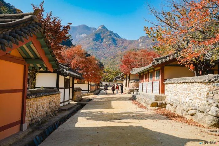 Traditional Korean lane framed by tiled eaves, stone walls and red autumn foliage beneath a rocky mountain ridge