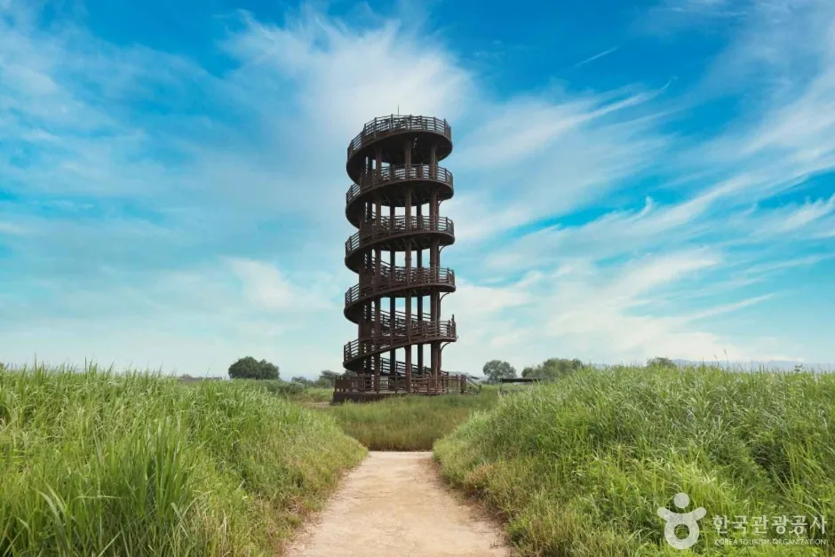 Wooden spiral observatory rising above green reed fields beneath a bright blue sky