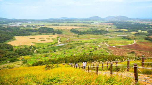 Green Jeju oreum viewpoint looking over farmland and distant volcanic cones