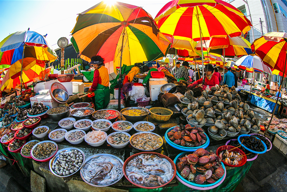 Colourful parasols over shellfish and seafood stalls at Jagalchi Market in Busan