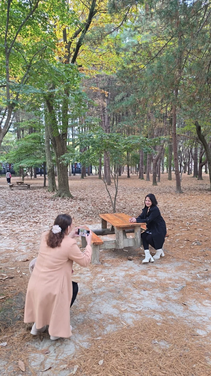 A traveler photographing her companion seated at a wooden picnic table among trees and fallen autumn leaves on Nami Island