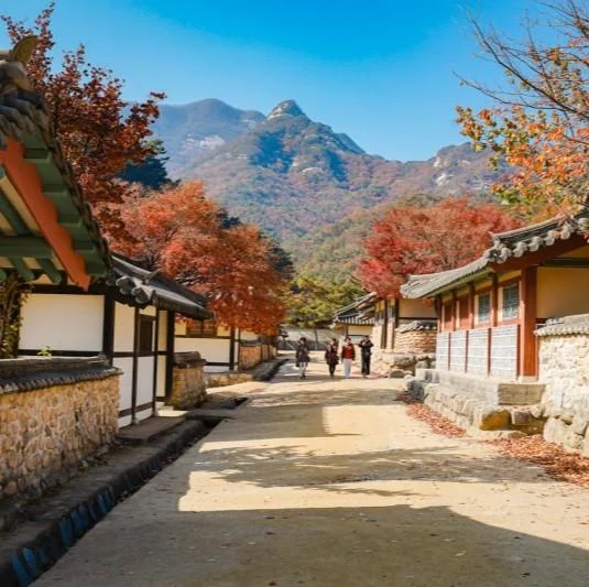 Stone-lined lane between traditional tiled-roof buildings with autumn trees and rocky mountains in Mungyeong