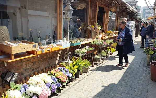 Flower displays outside restored hanok shops on an Ikseondong lane