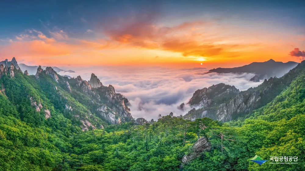Sunrise over a sea of clouds filling the valleys between Seoraksan's green granite peaks