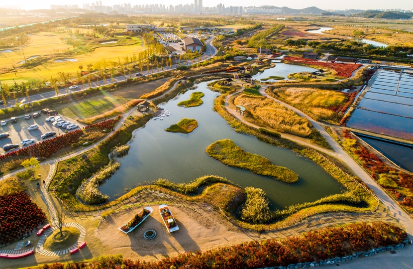Aerial view of the waterways, reed beds and salt fields at Siheung Gaetgol Eco Park in autumn