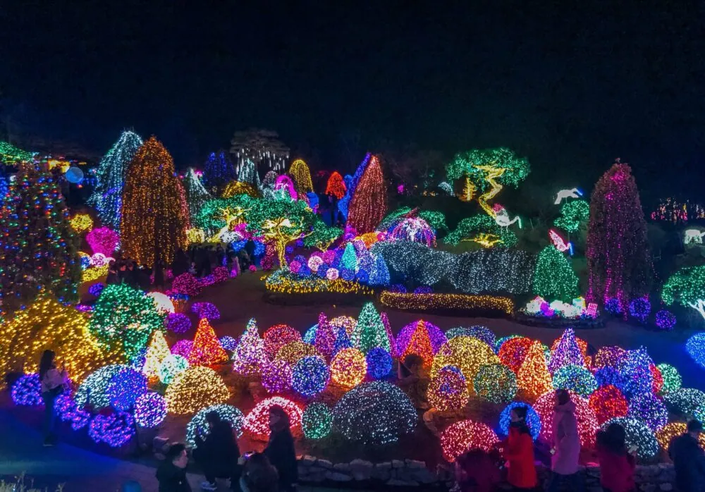 Garden landscape covered in vivid multicoloured lights at the Garden of Morning Calm