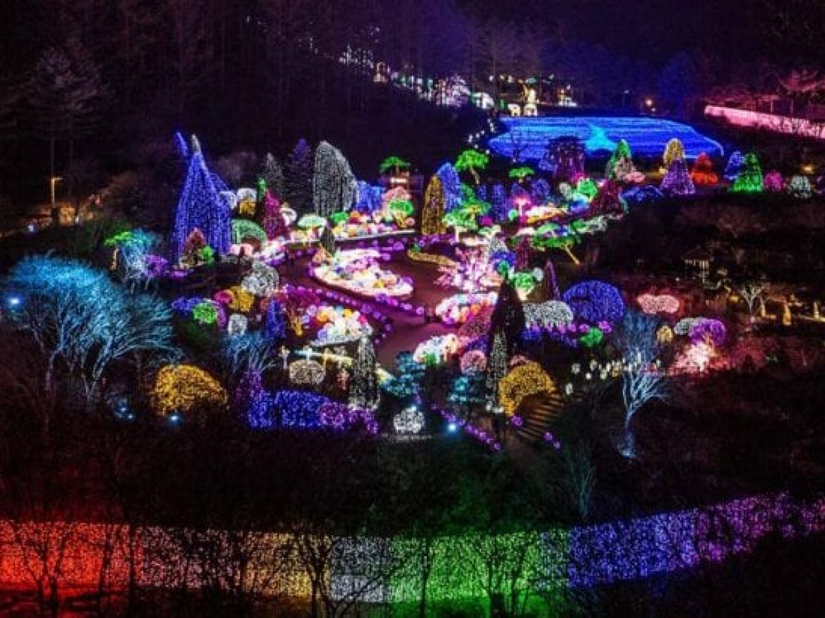 Panoramic night view of colourful winter lights across the Garden of Morning Calm
