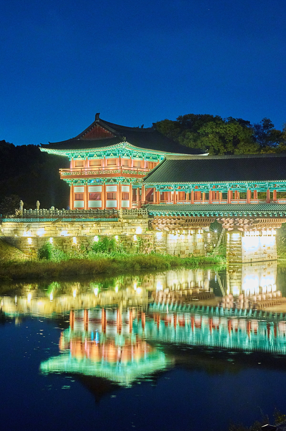 Illuminated Woljeonggyo Bridge reflected in the water beneath a deep blue night sky
