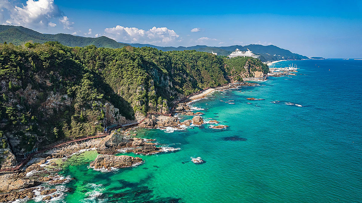 Turquoise East Sea water meeting forested rocky cliffs along the Gangwon coast