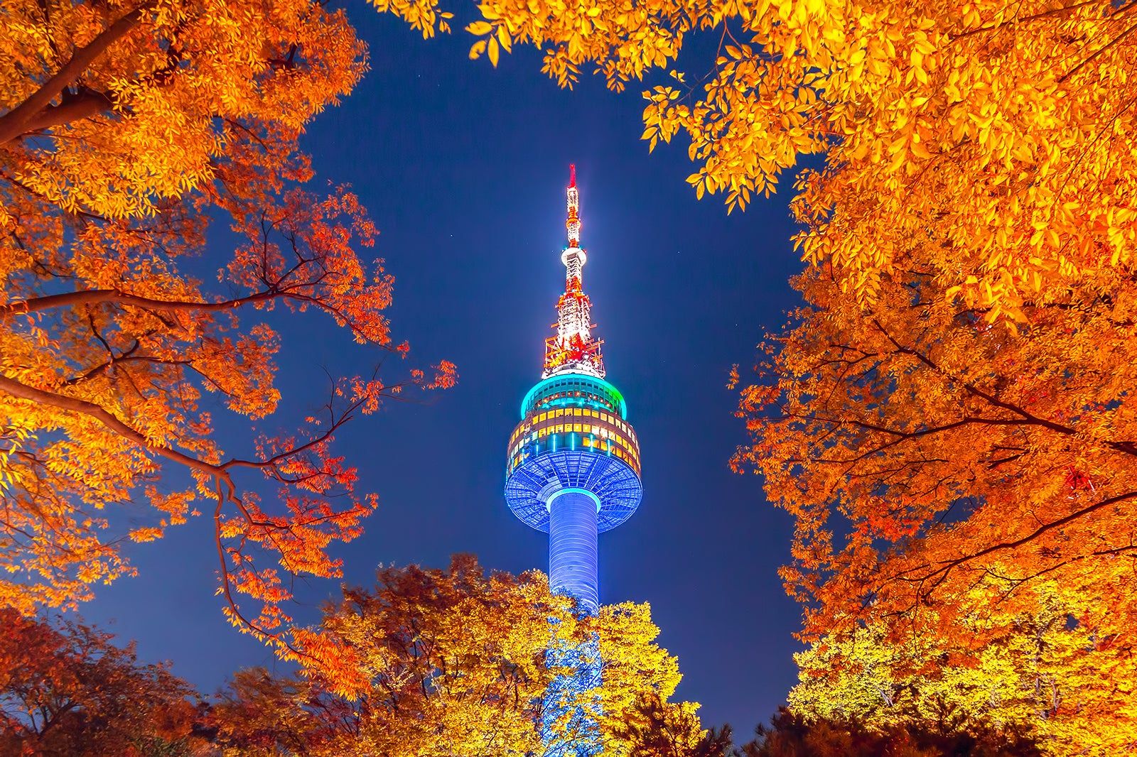 N Seoul Tower illuminated among vivid autumn leaves during the Seoul Premium Three Theme Tour