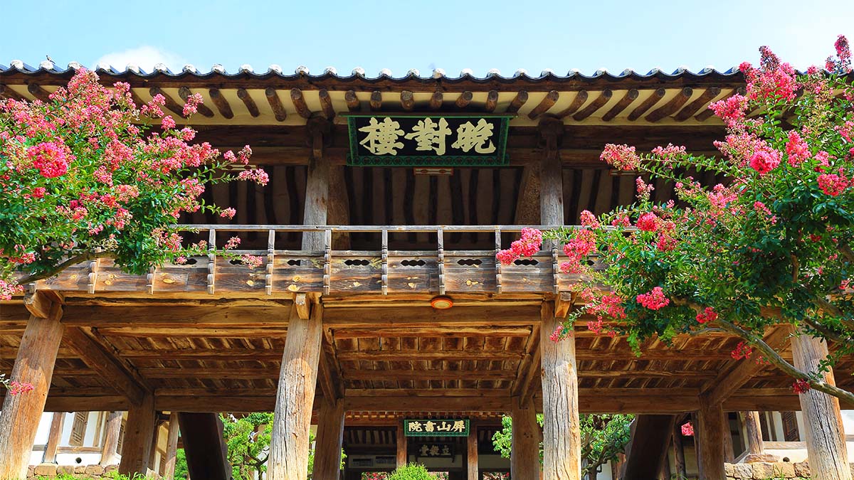 Mandaeru wooden pavilion at Byeongsan Seowon framed by pink flowering trees
