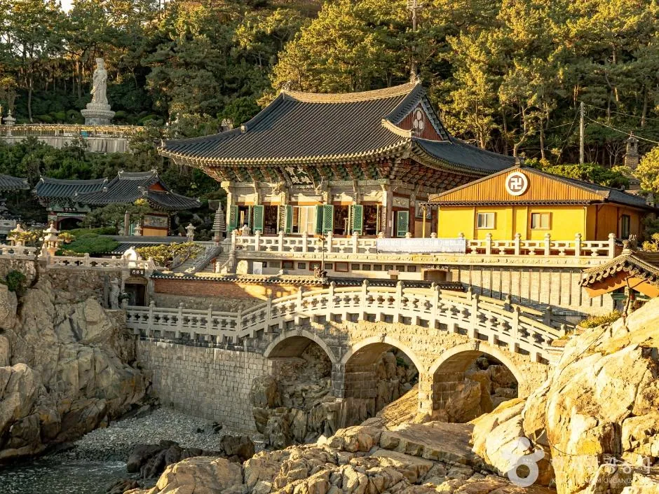 Haedong Yonggungsa temple perched on coastal rocks at golden hour