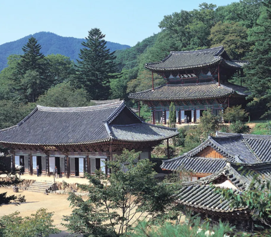 Traditional tiled halls of Magoksa Temple surrounded by green forest and mountains