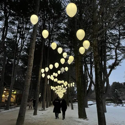Snow-covered woodland path decorated with glowing lanterns on Nami Island in winter
