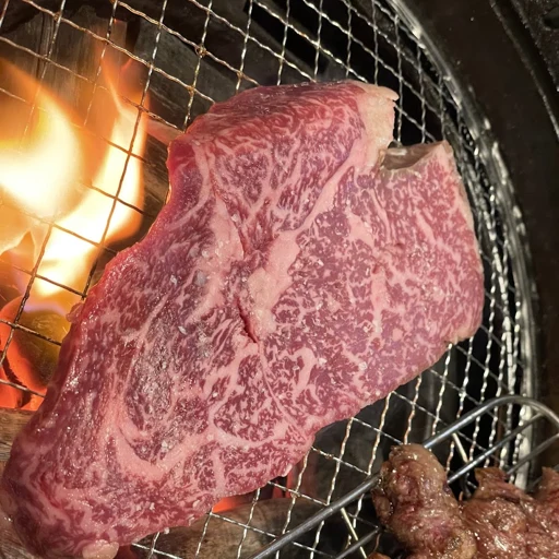 Marbled beef cooking on a wire grill over a flame
