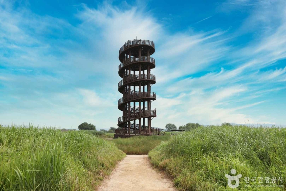 Wooden spiral observatory rising above green reed fields beneath a bright blue sky