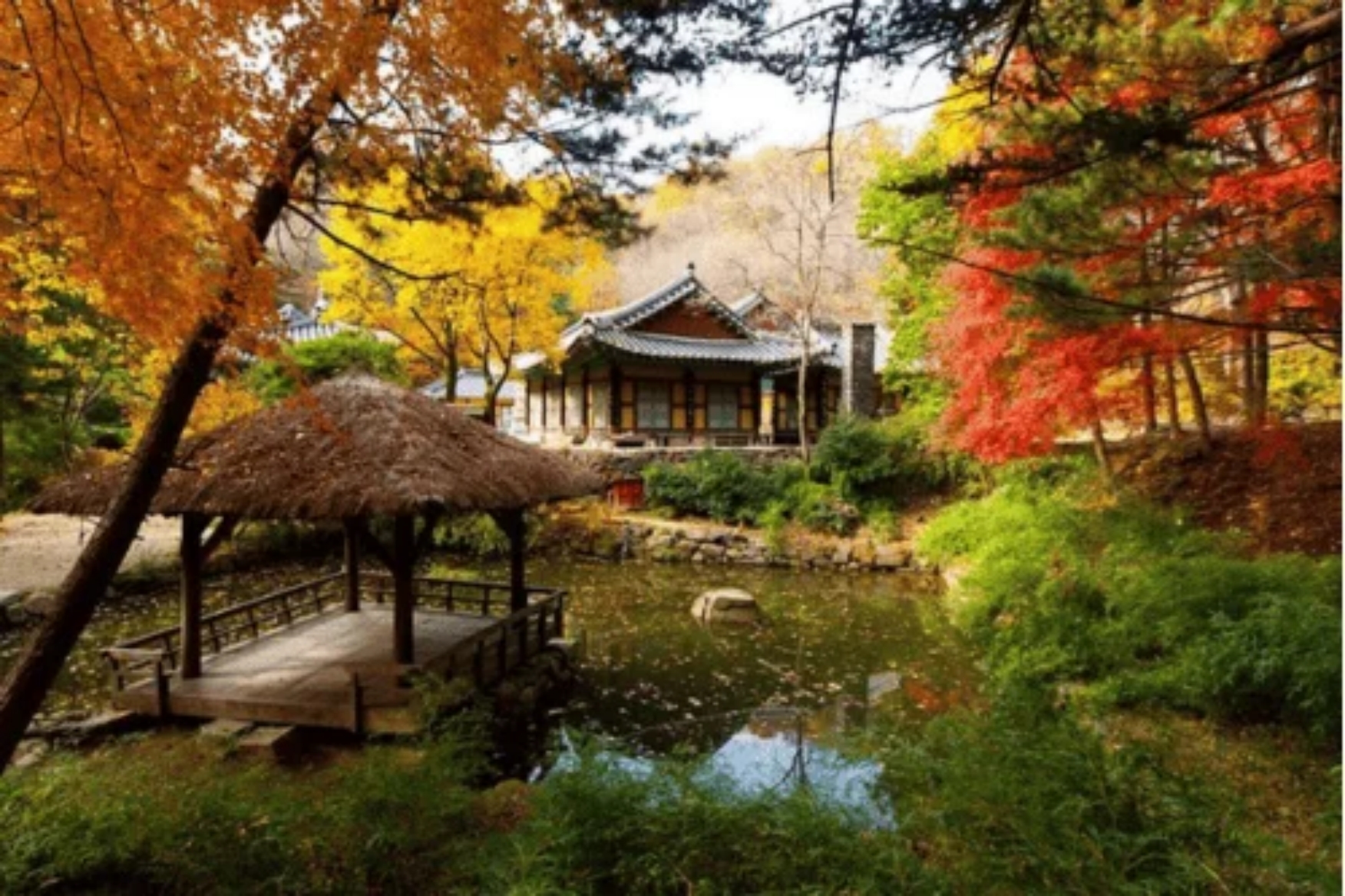 Thatched pavilion over a village pond with a hanok and vivid autumn foliage beyond