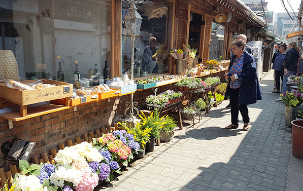 Flower displays outside restored hanok shops on an Ikseondong lane