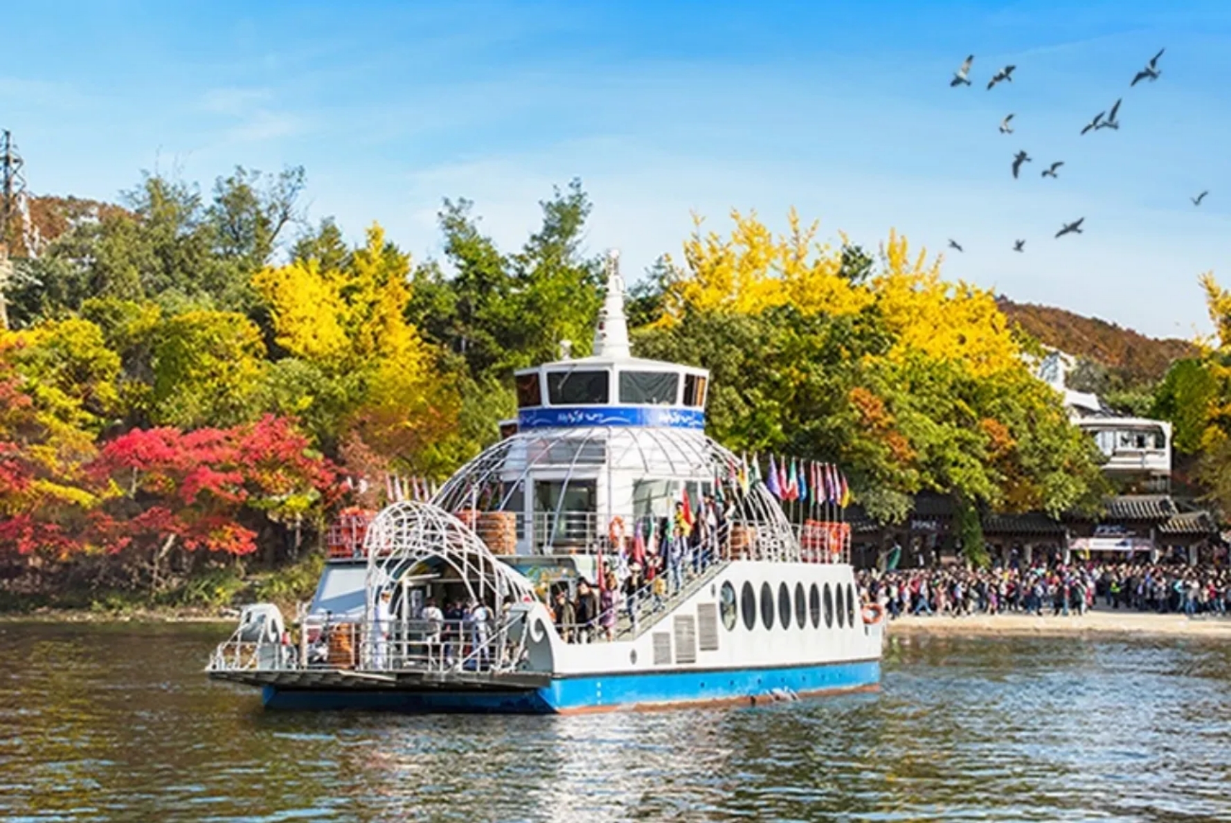 Nami Island ferry crossing the river against vivid autumn foliage