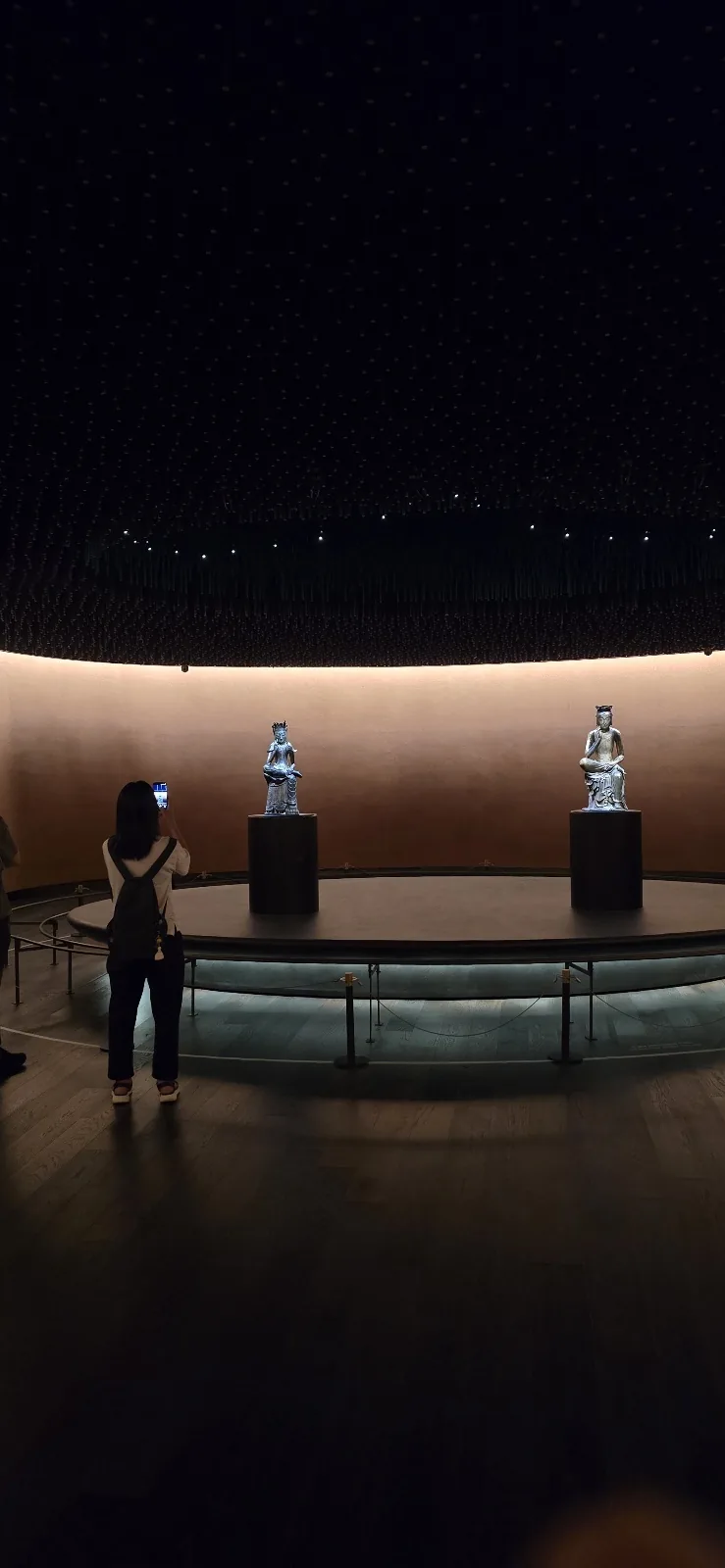 A traveler standing beside illuminated display cases in a dark museum gallery
