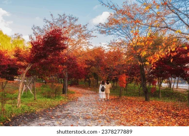 Couple walking along a path covered with red autumn leaves on Nami Island