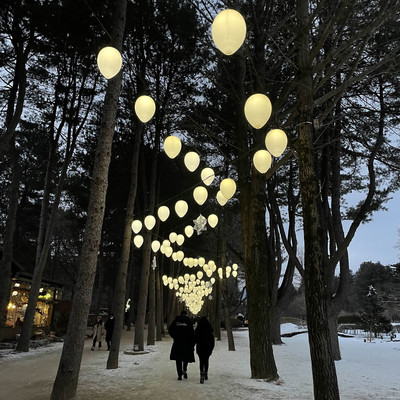 Snow-covered woodland path decorated with glowing lanterns on Nami Island in winter