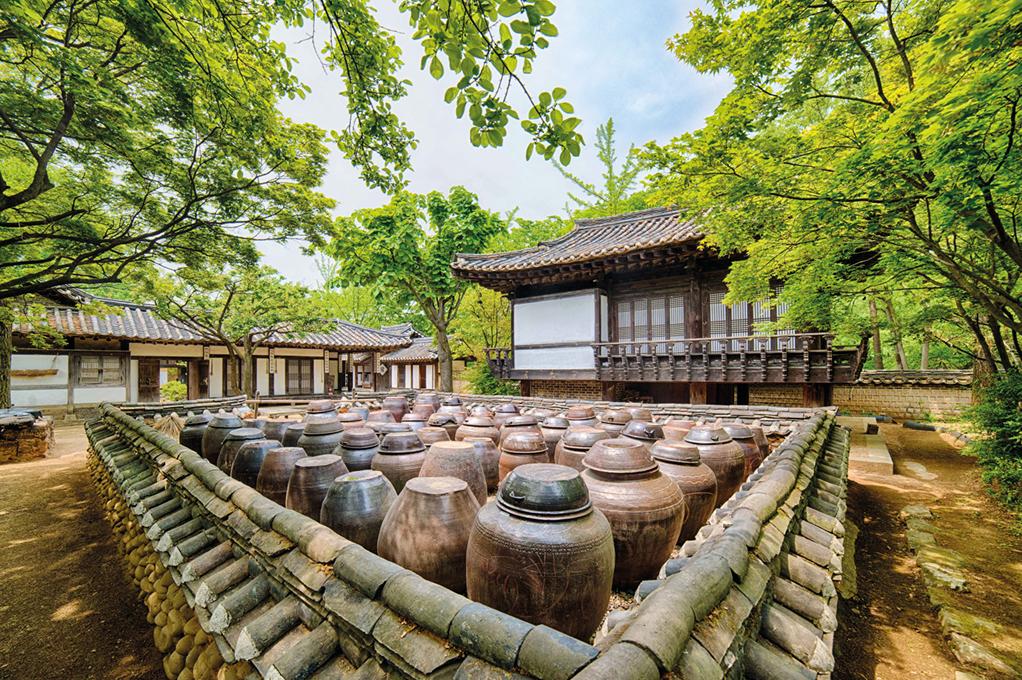 Tiled-roof noble hanok with rows of earthenware jars on the jar terrace under green trees