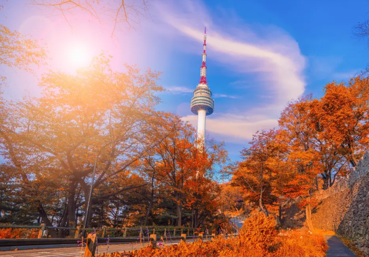 N Seoul Tower rising above brilliant autumn foliage beside a historic stone wall