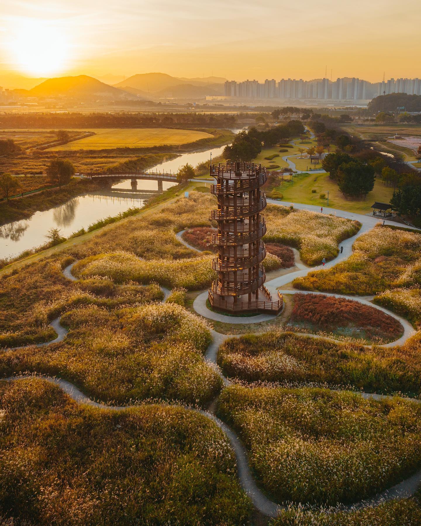 Golden sunset over the reed fields and wooden observatory tower of Sorae Wetland Ecological Park in Gyeonggi-do